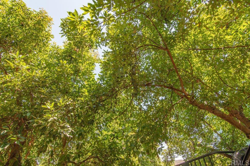 main property photo 58