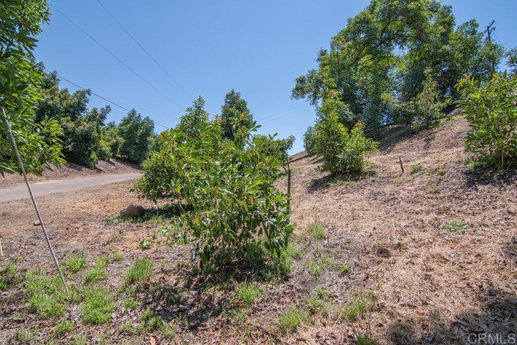 main property photo 63