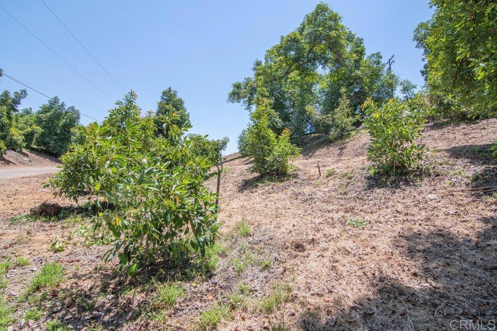 main property photo 64