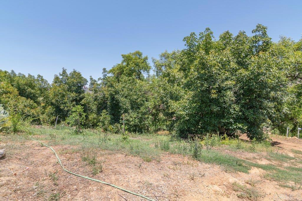 main property photo 59