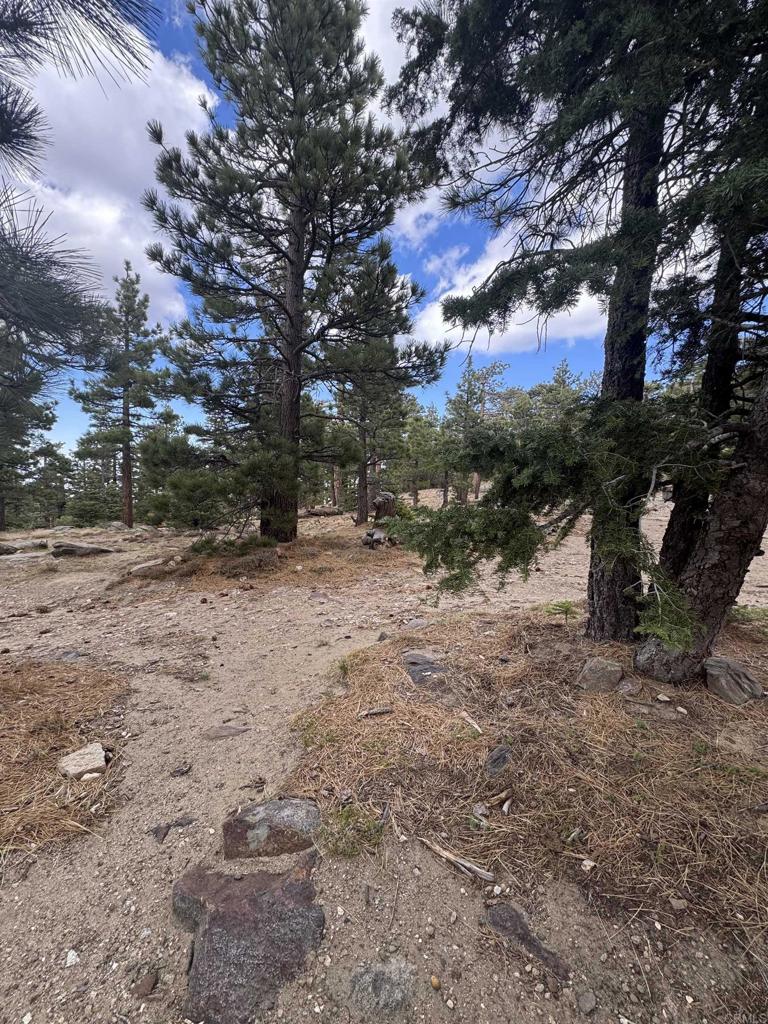 main property photo 26