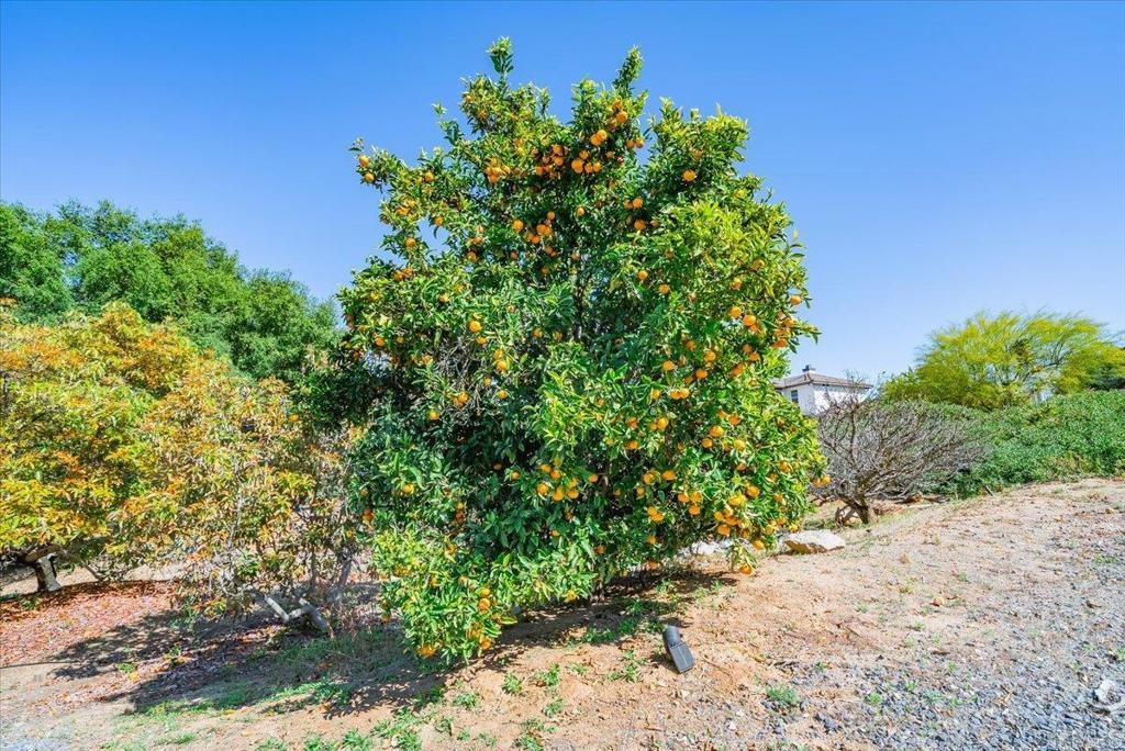 main property photo 61