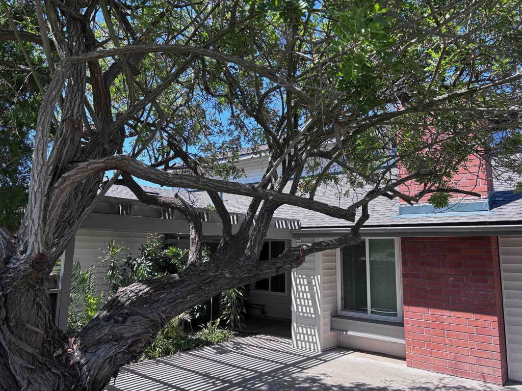 main property photo 63