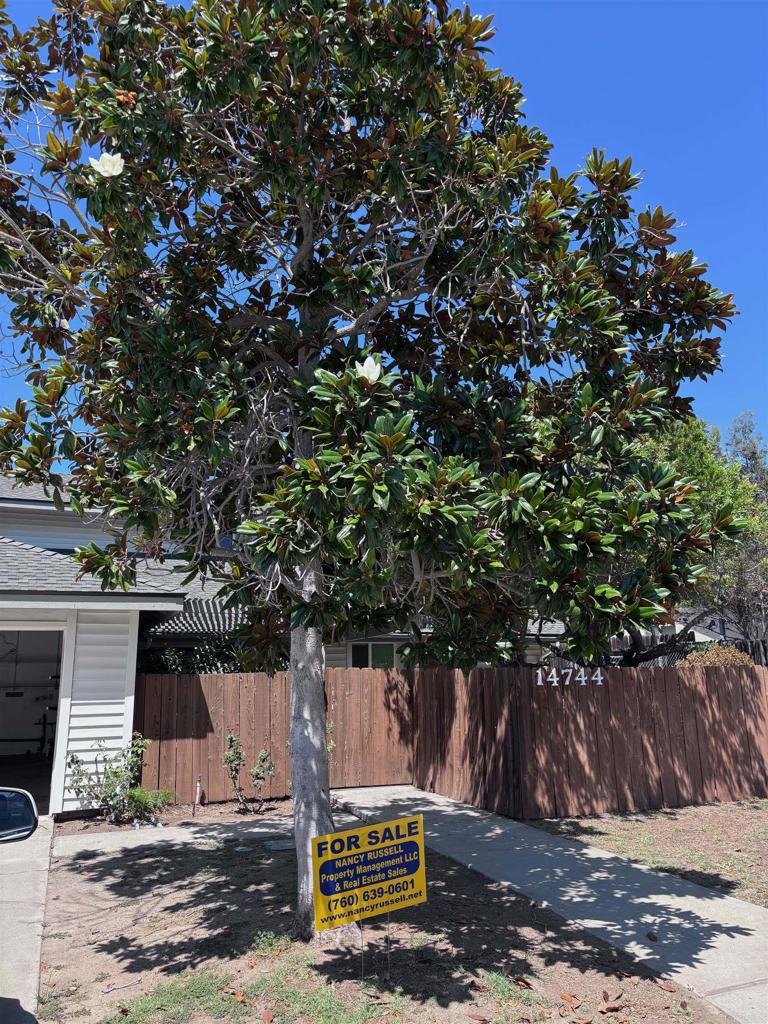 main property photo 67