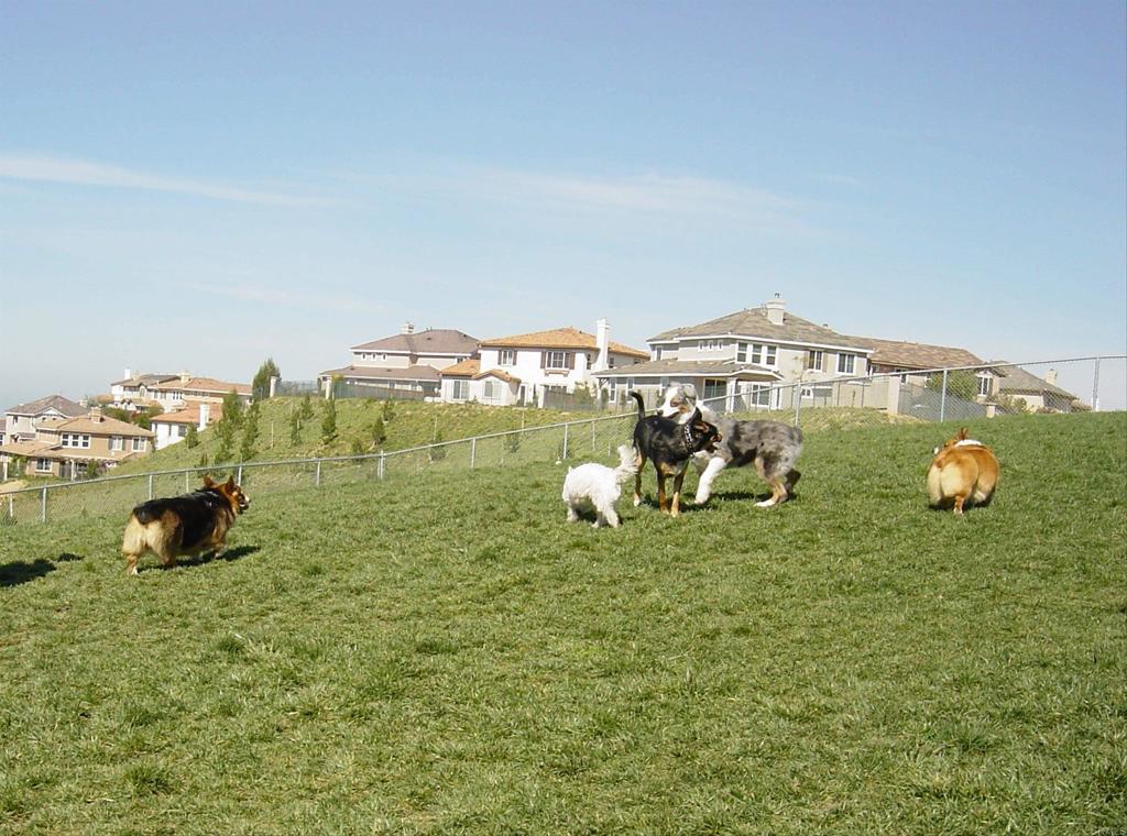 main property photo 57