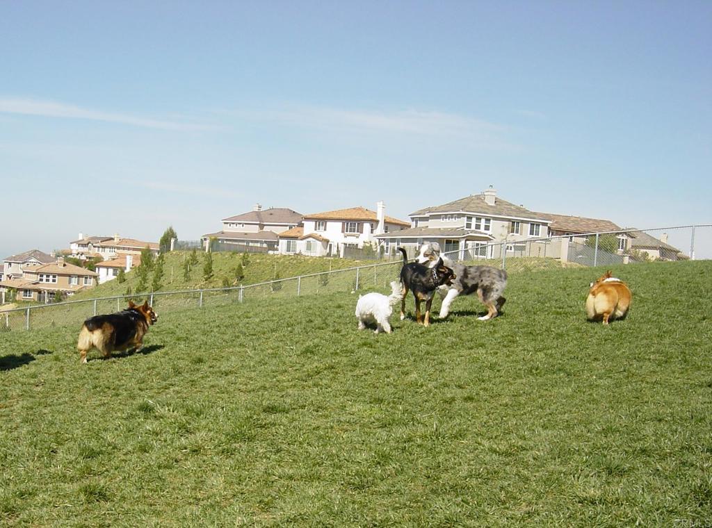 main property photo 55