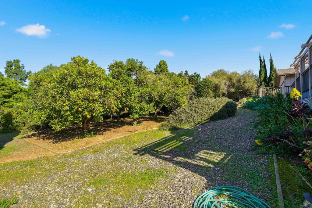 main property photo 56