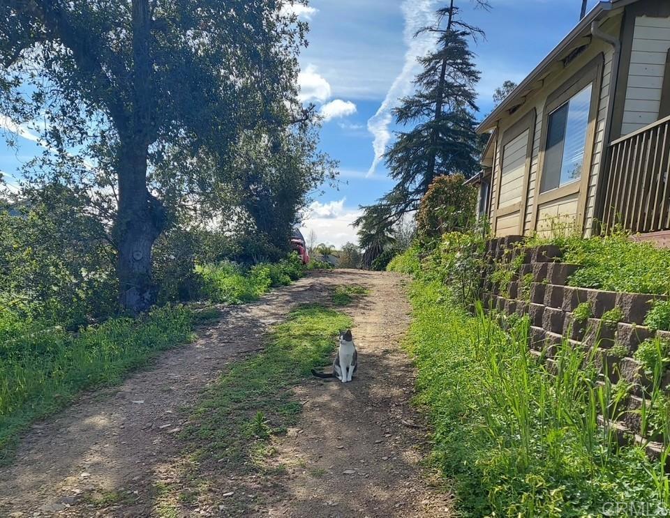 main property photo 6