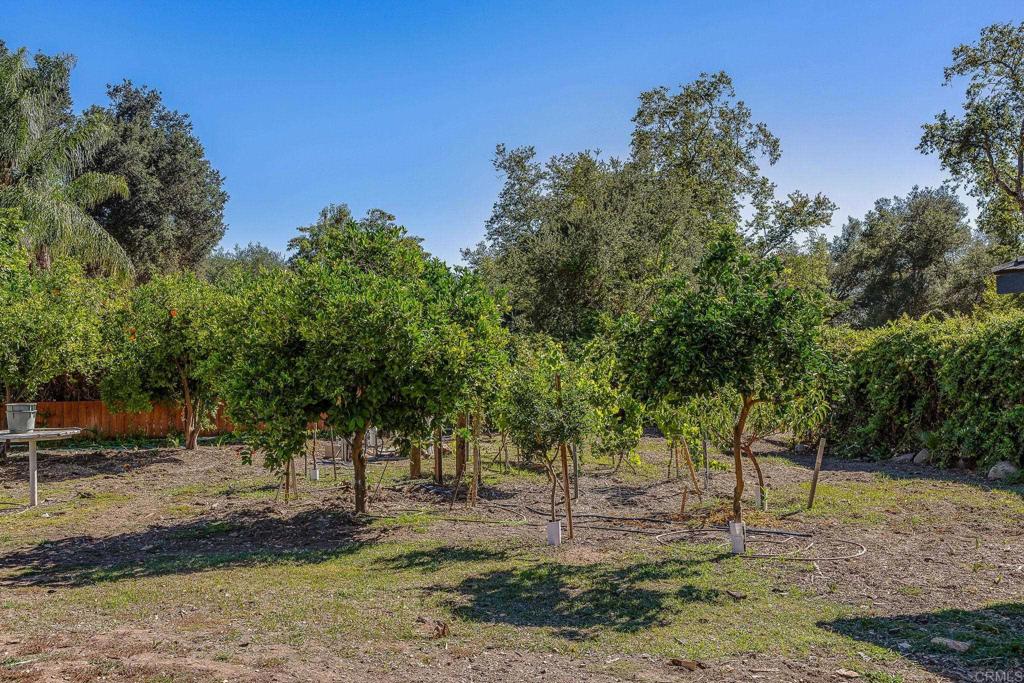 main property photo 51