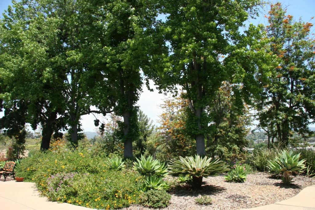 main property photo 59