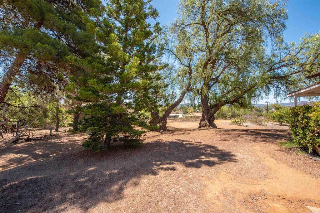 main property photo 61