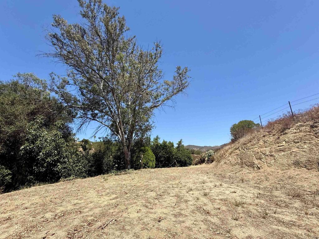 main property photo 21