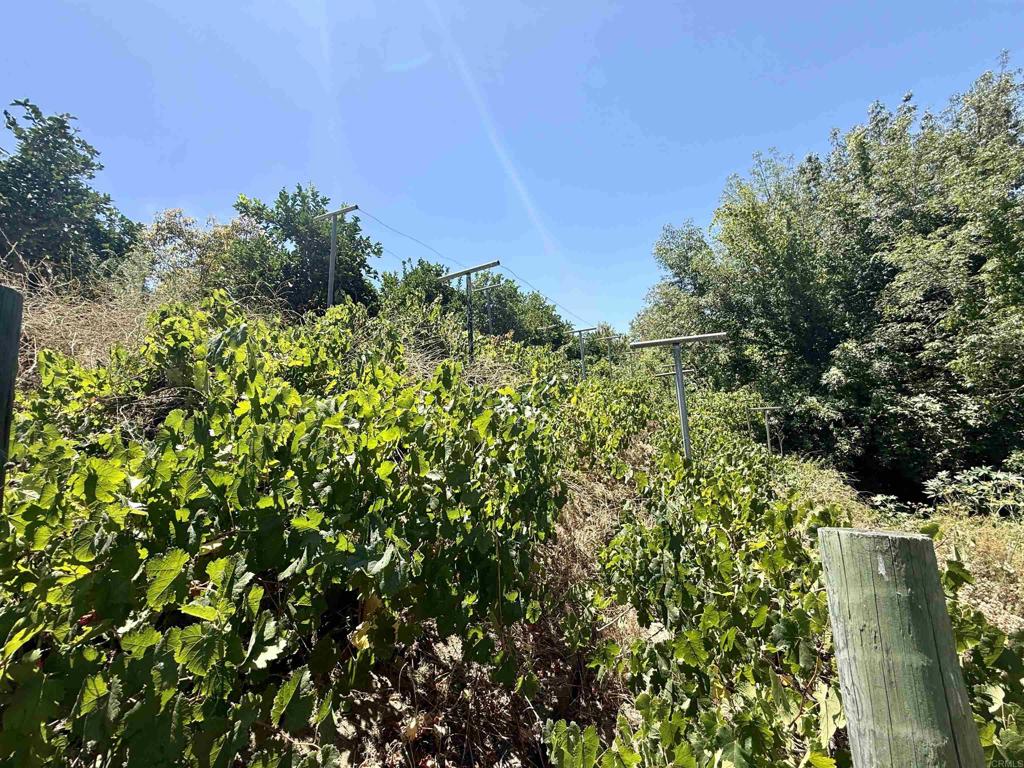 main property photo 44