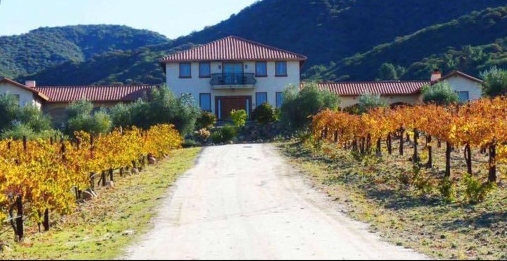 main property photo 10