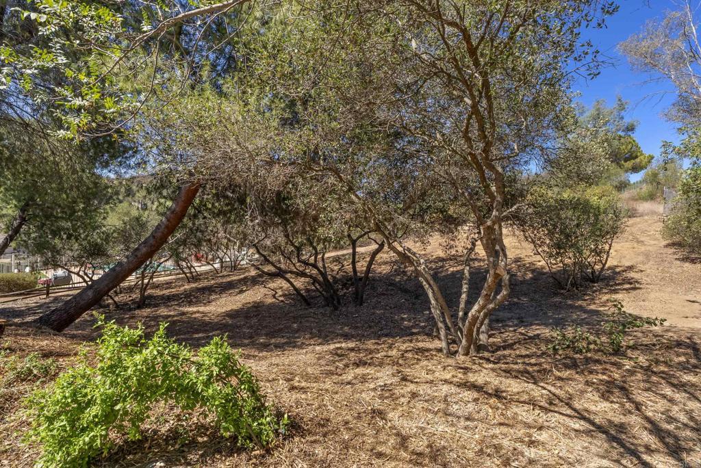 main property photo 56