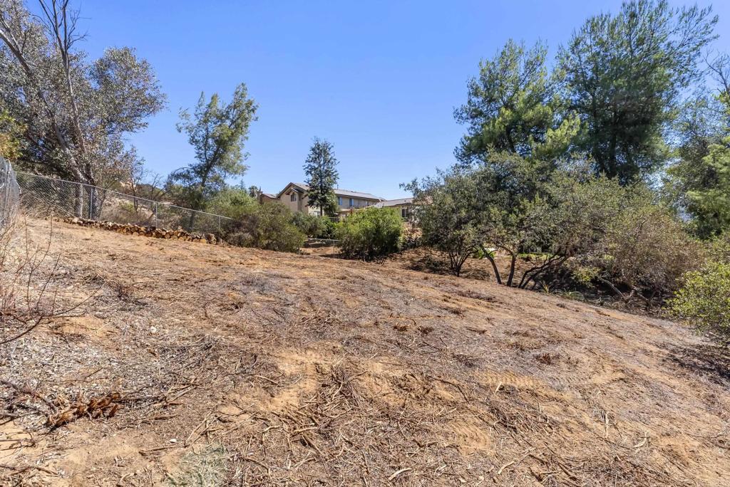 main property photo 58