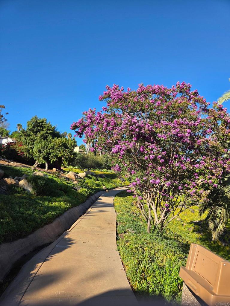 main property photo 70