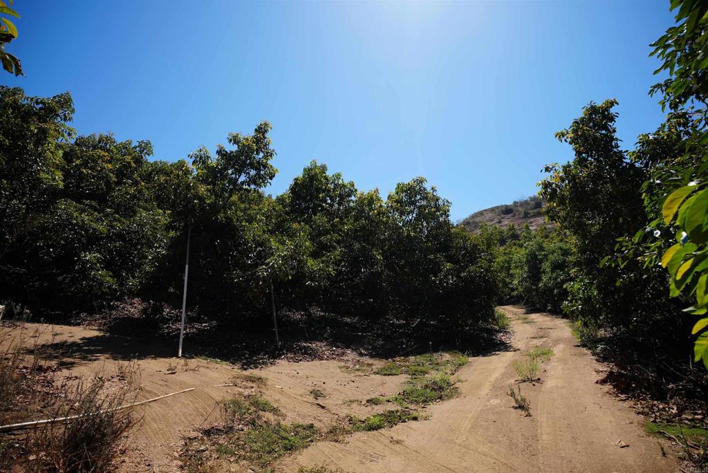main property photo 19