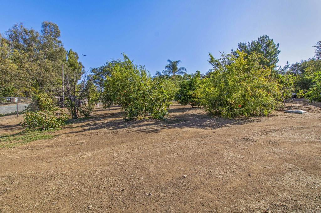 main property photo 73