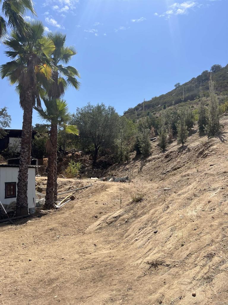 main property photo 10