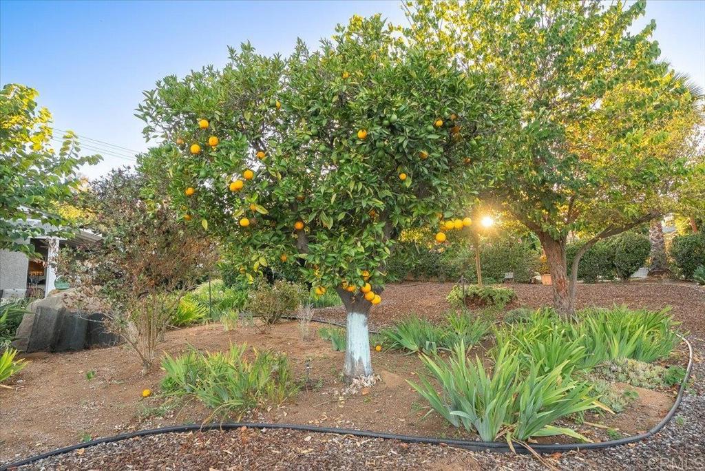 main property photo 40