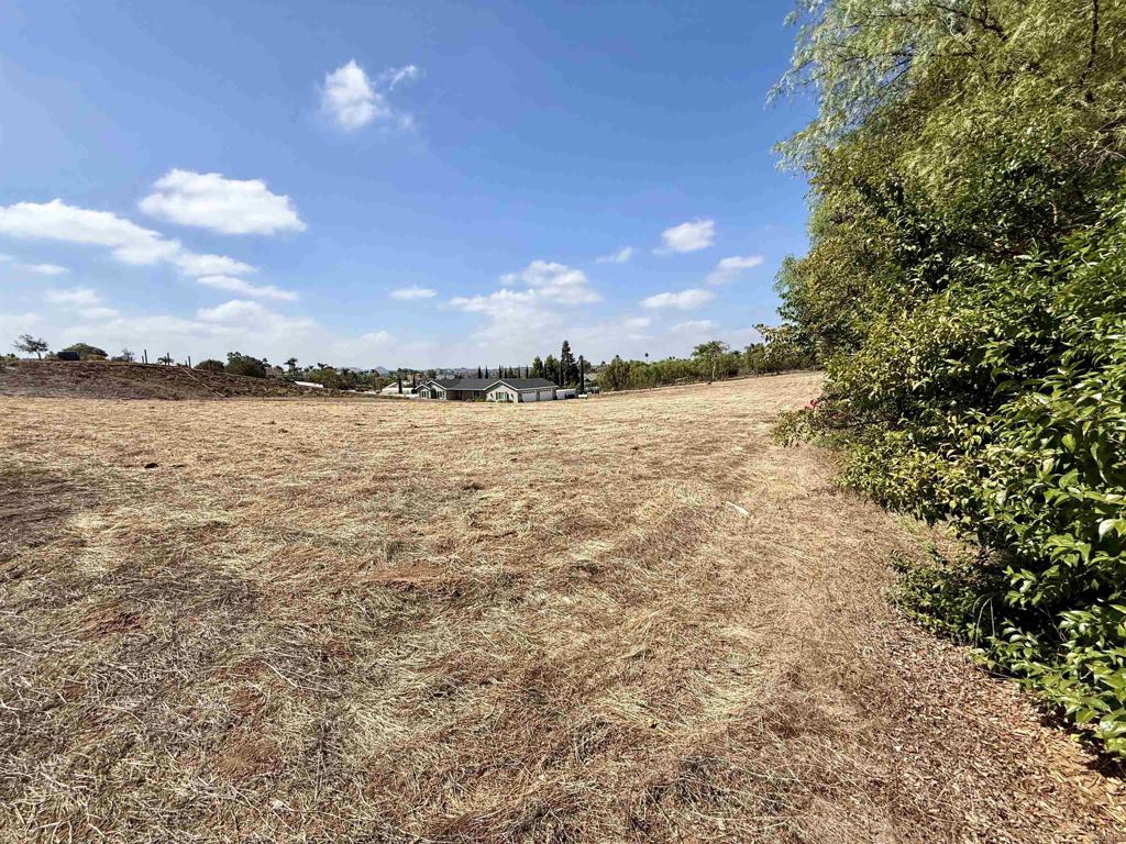 main property photo 14