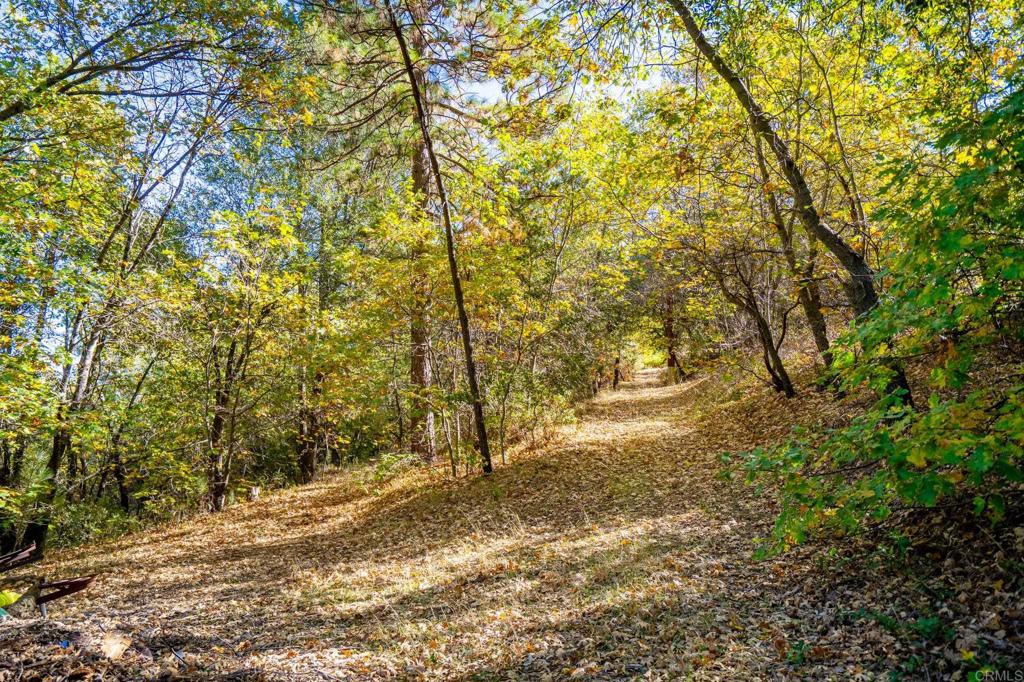 main property photo 48