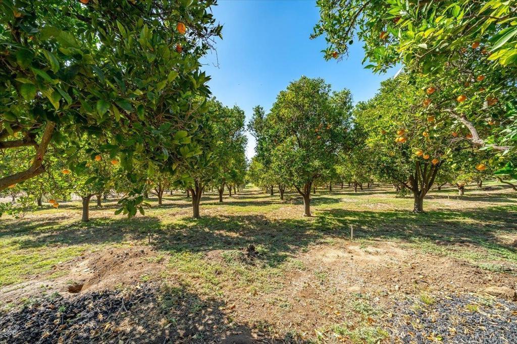 main property photo 57