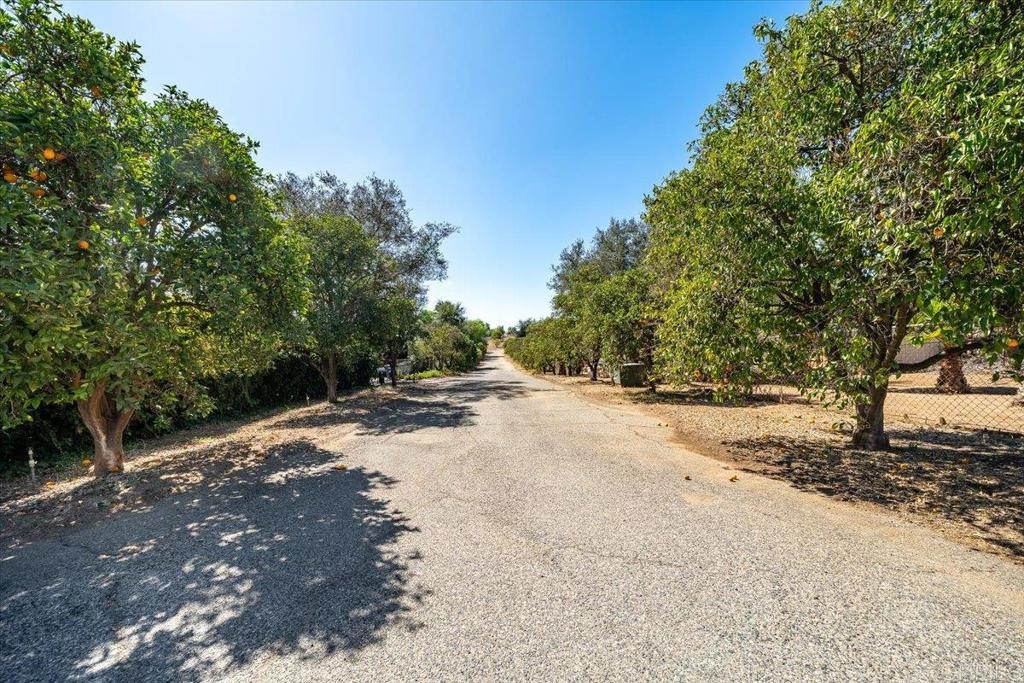 main property photo 59