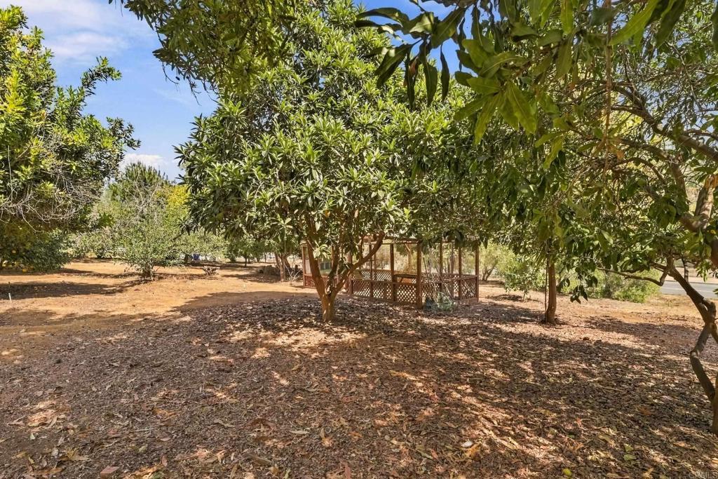 main property photo 50
