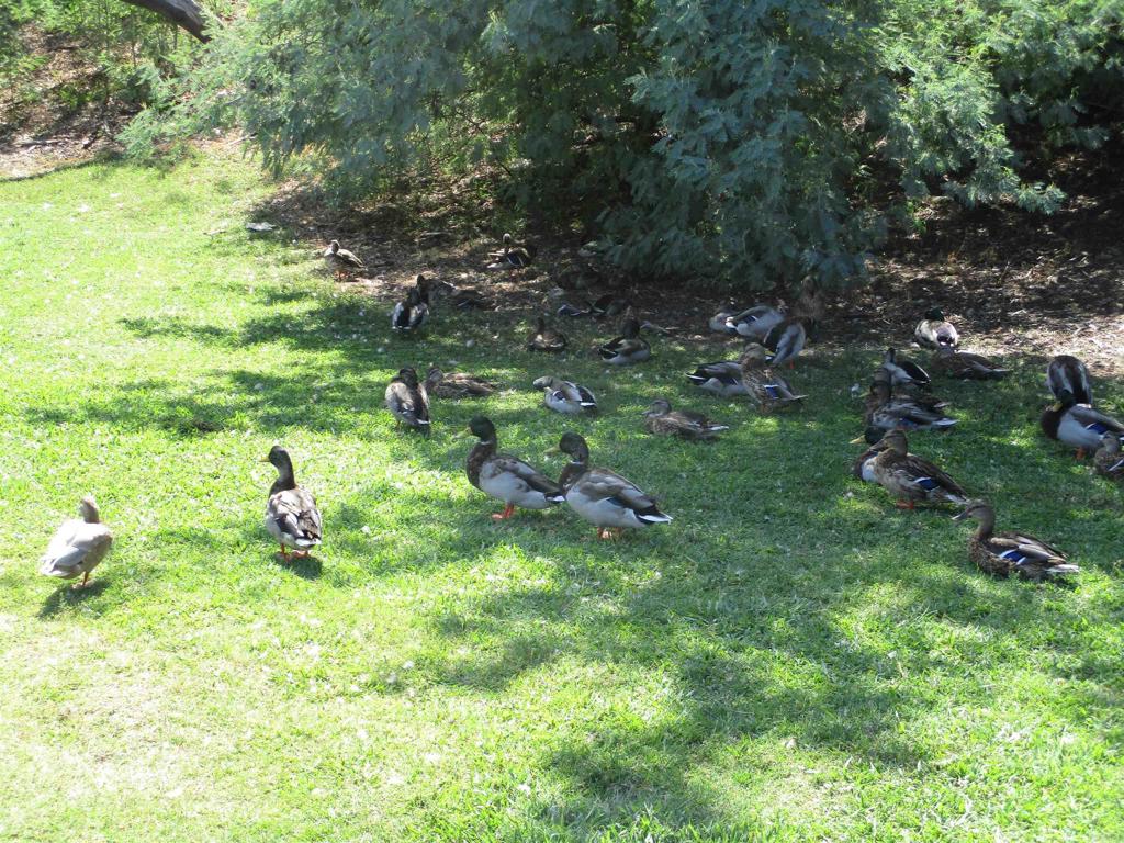 main property photo 35