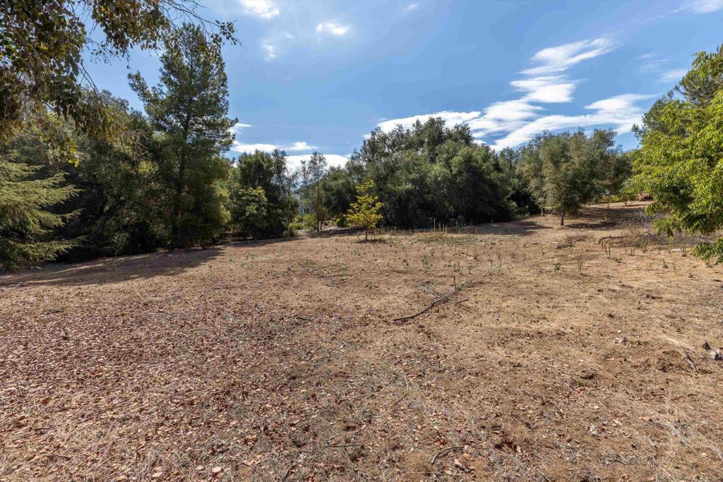 main property photo 60