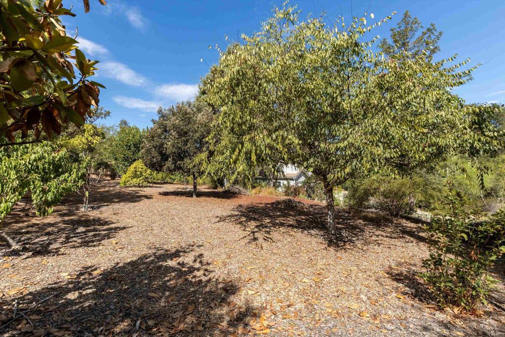 main property photo 61