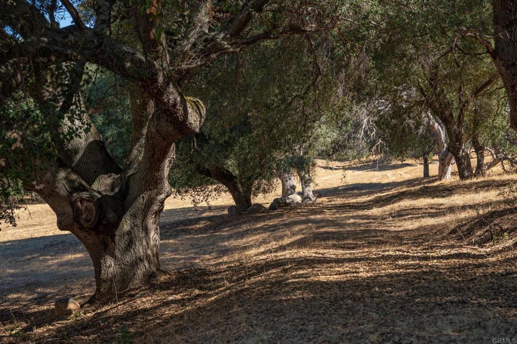 main property photo 50