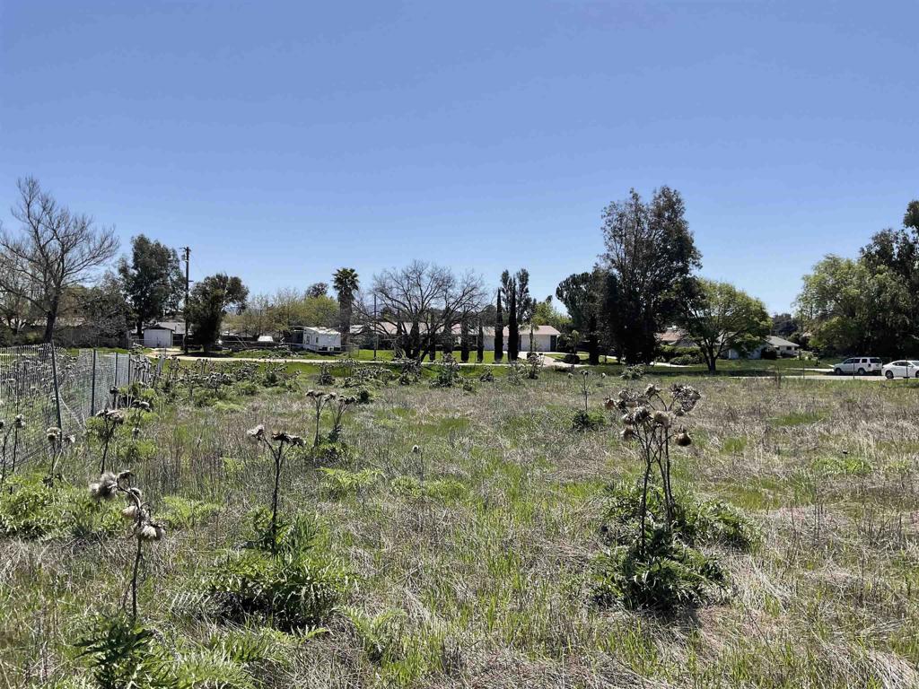 main property photo 13