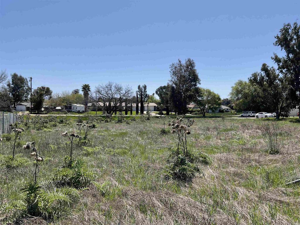 main property photo 14