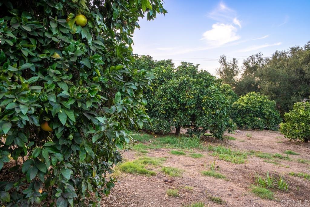 main property photo 58