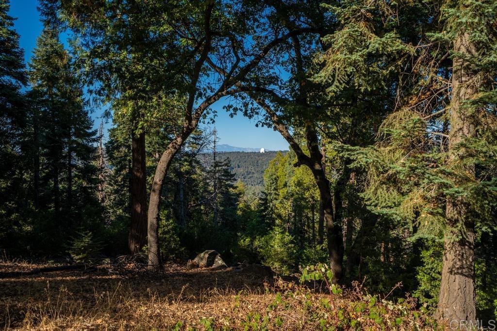 main property photo 50
