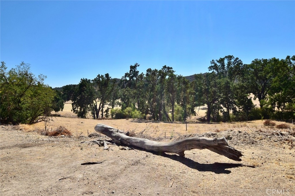 main property photo 48