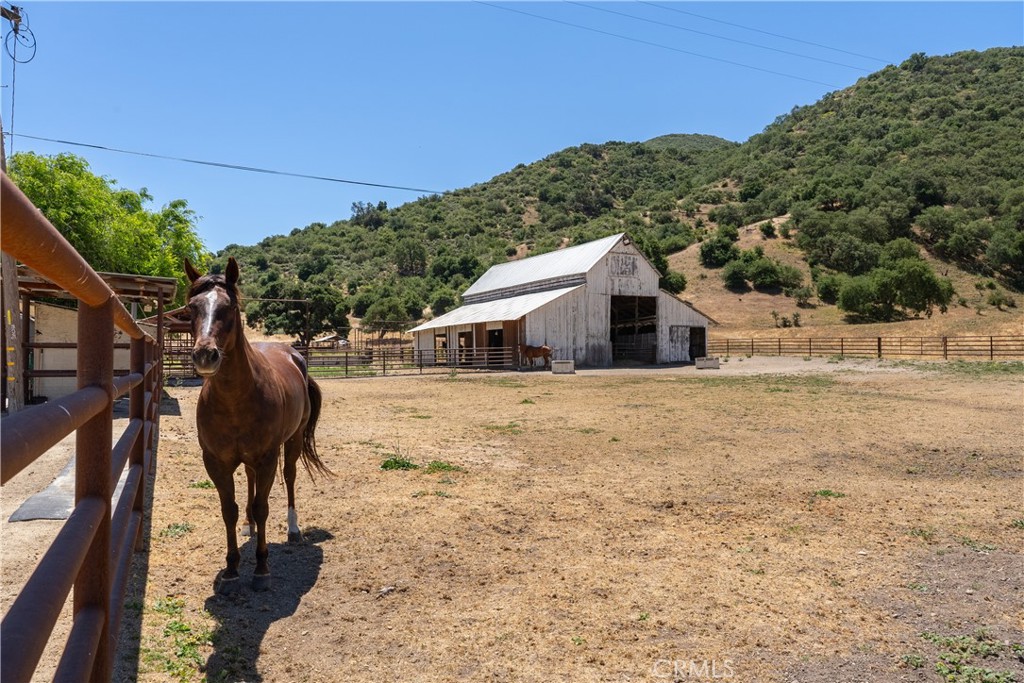 main property photo 22