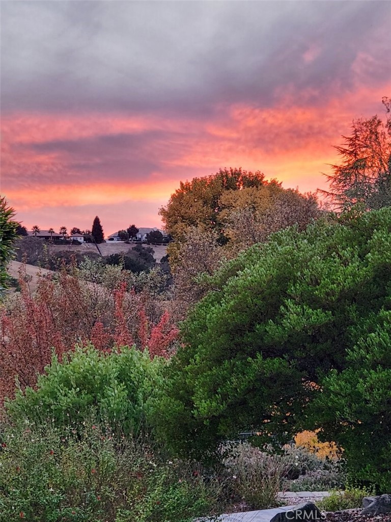 main property photo 59