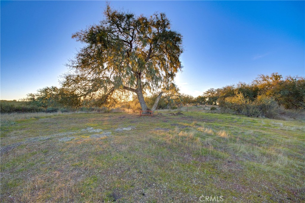 main property photo 36