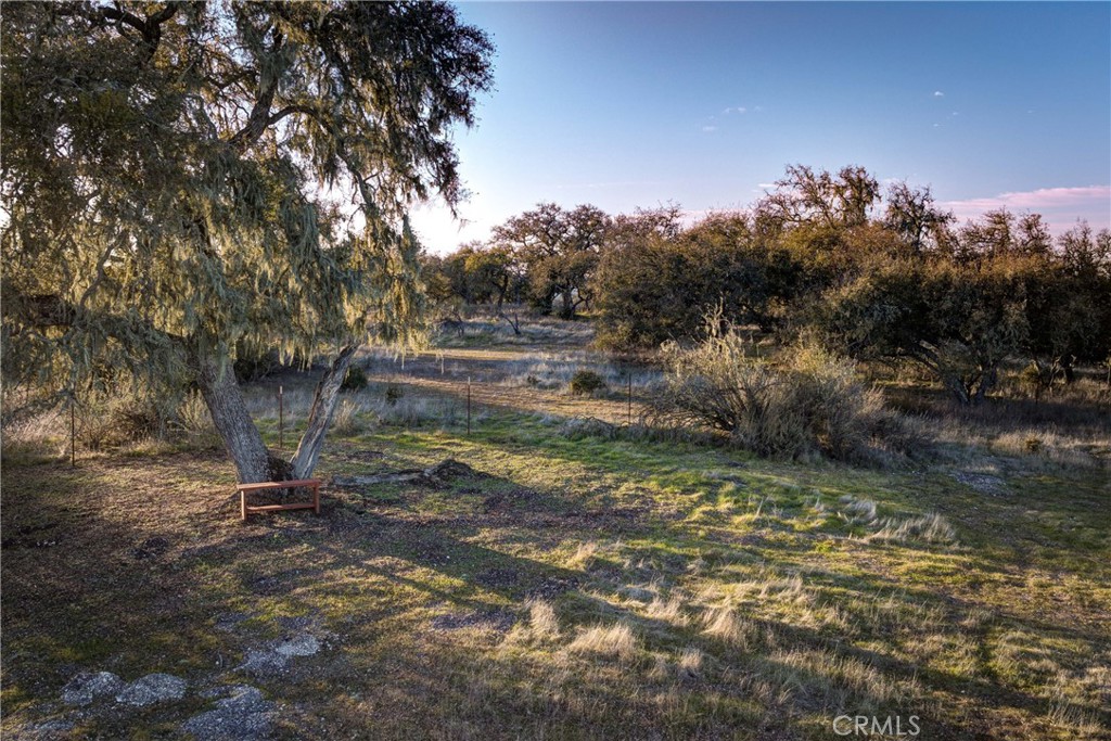 main property photo 39