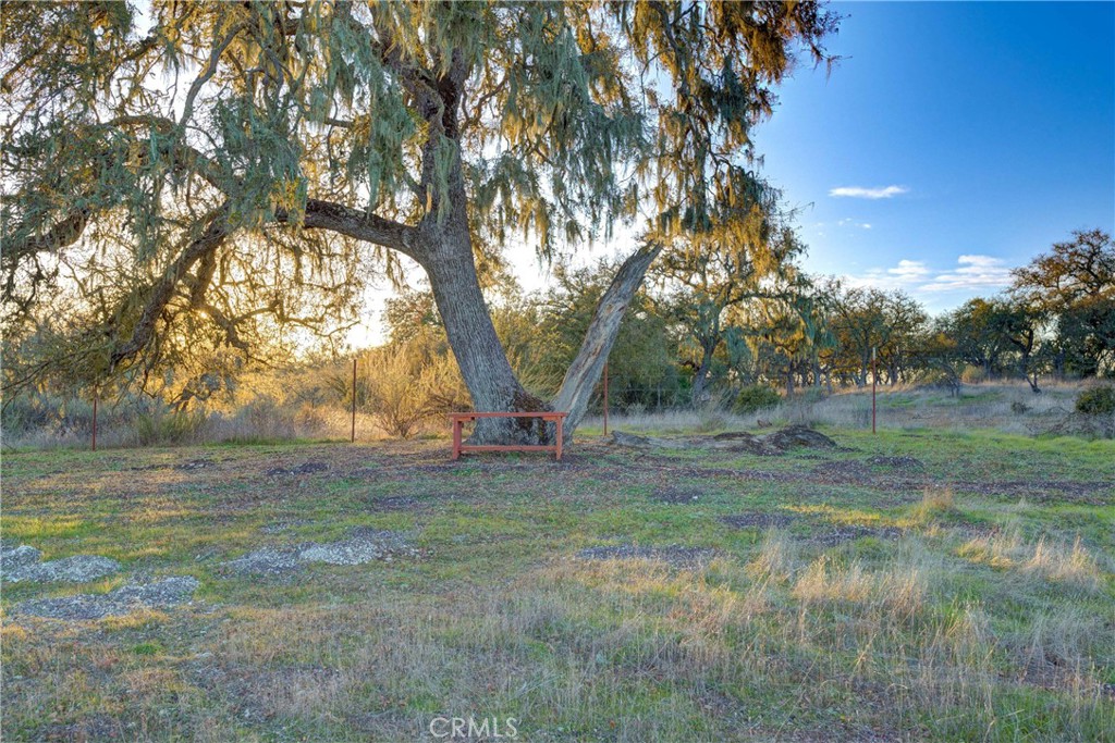 main property photo 41