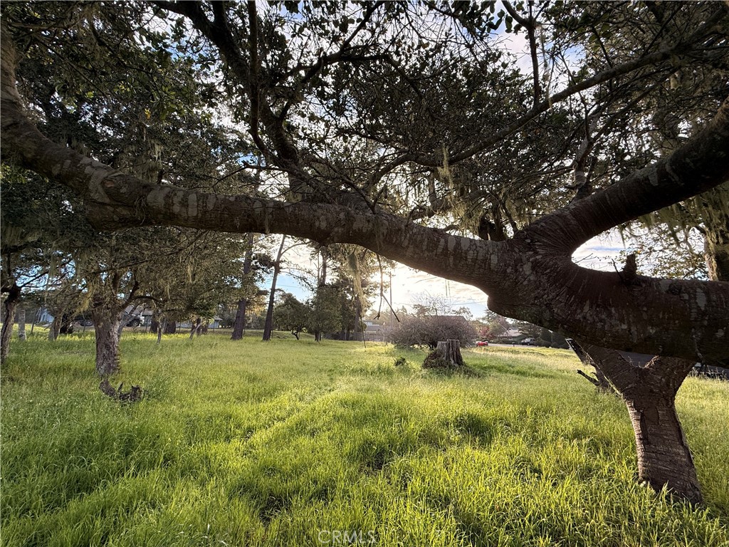 main property photo 5