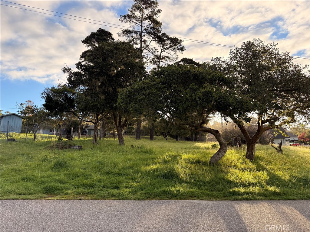 main property photo 6