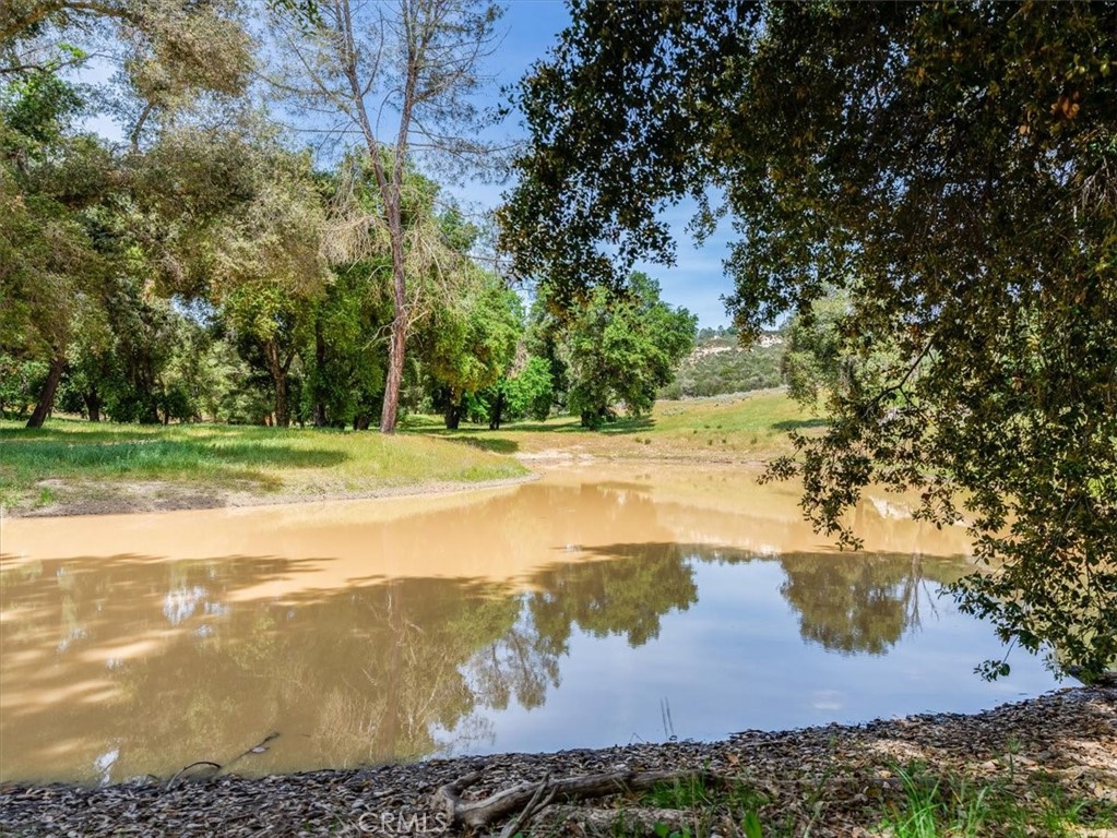 main property photo 39