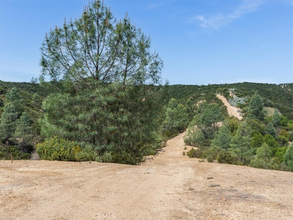 main property photo 50