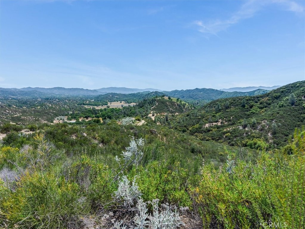 main property photo 53