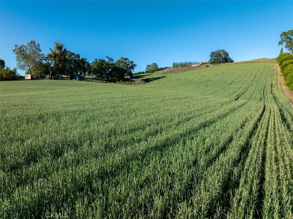 main property photo 68